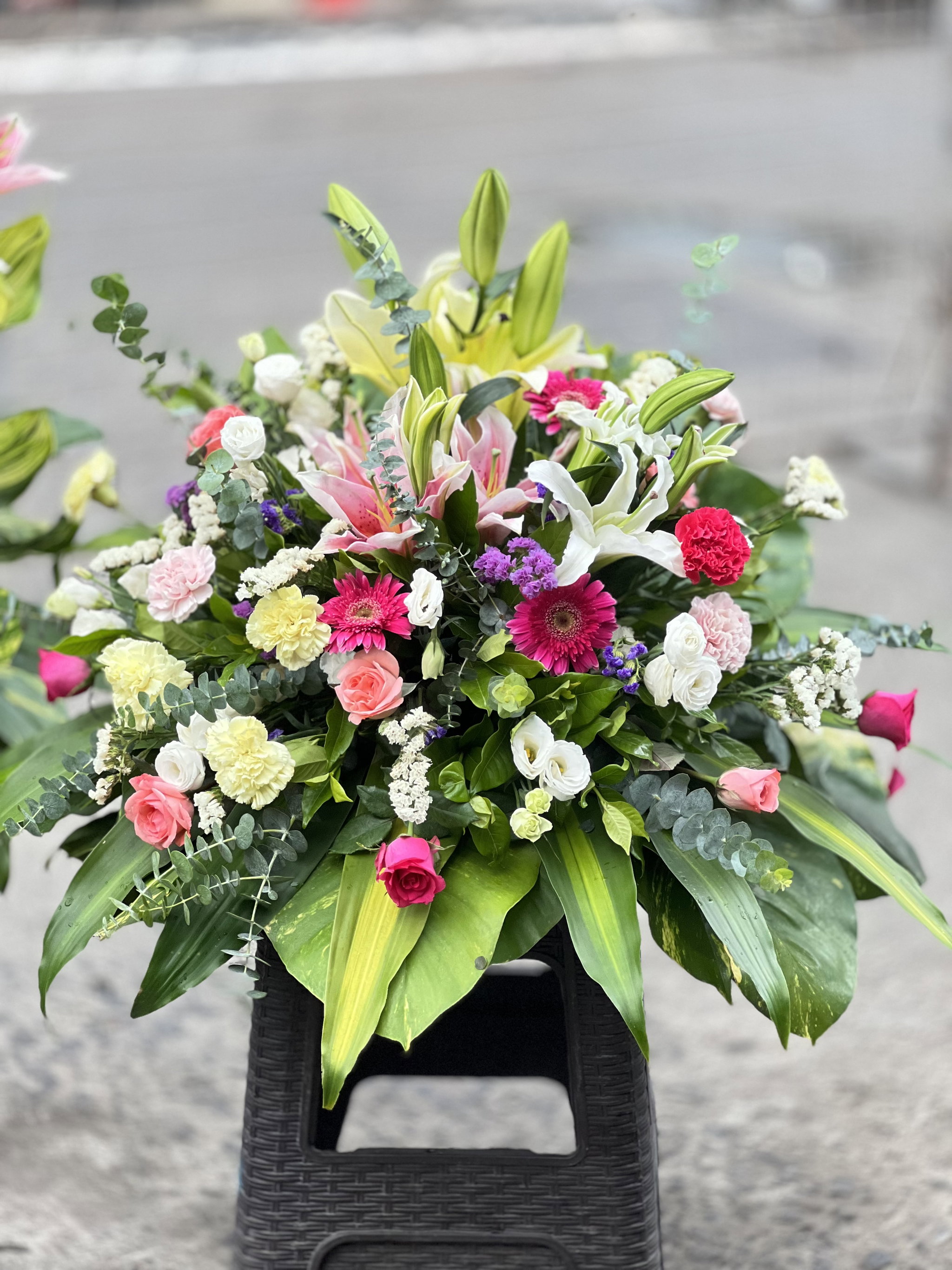 Sympathy Set_2