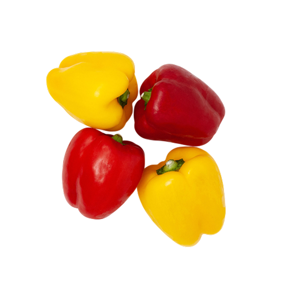 Red and Yellow Bell Pepper, Single Pack_0