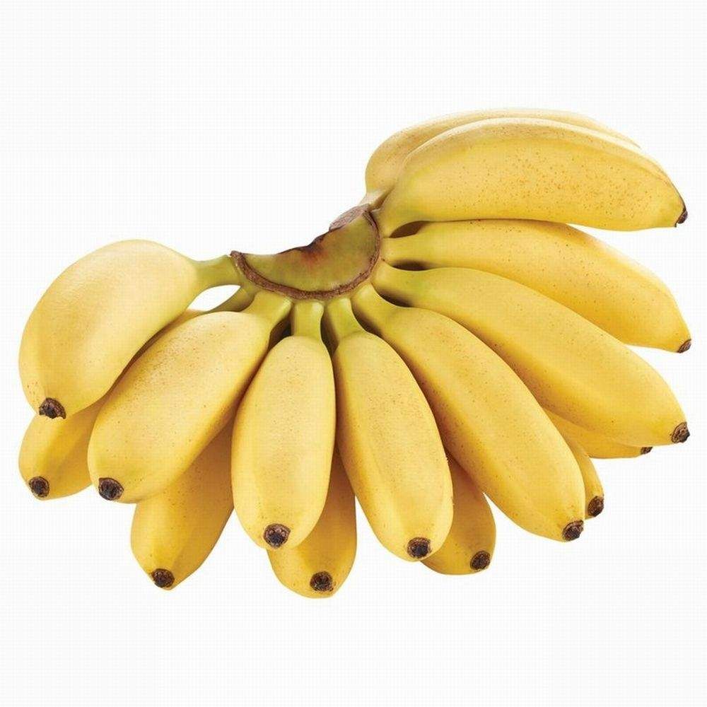 Yellow Baby Banana, Loose_0