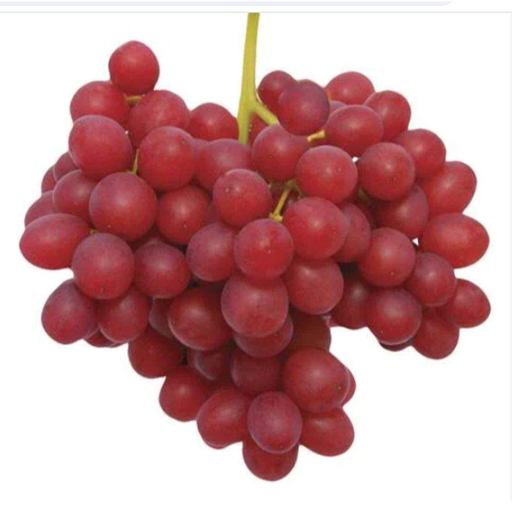 Red Grapes, 500g_0