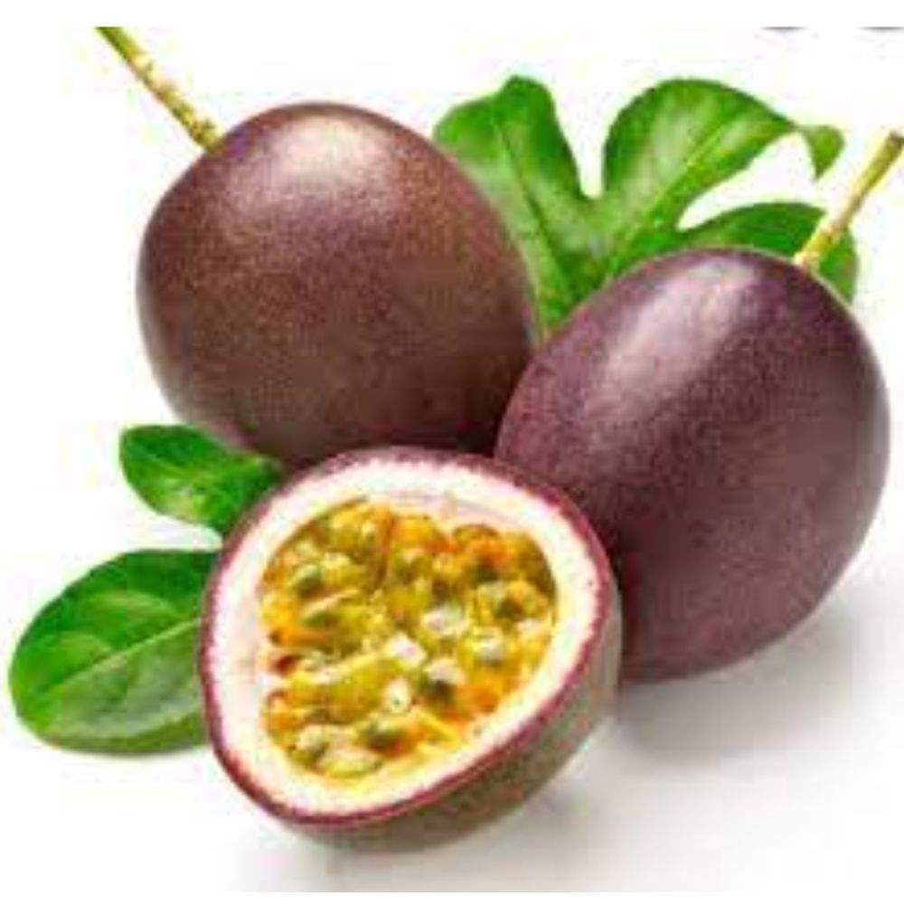 Hybrid Passion Fruit, Single Pack