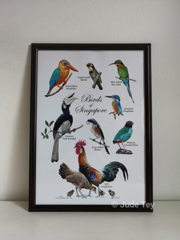 A3 Framed Prints 