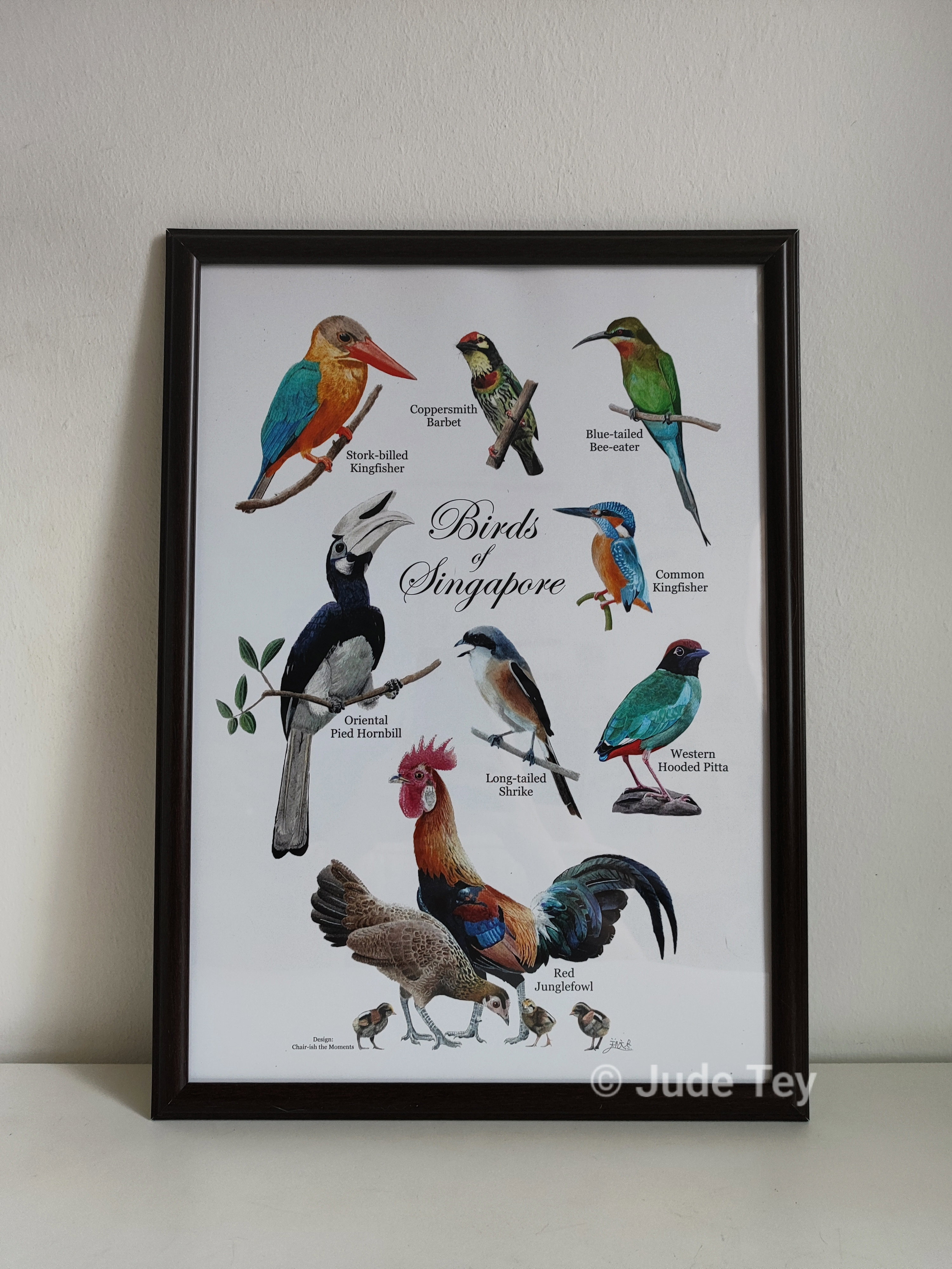 A3 Framed Prints 