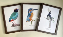 B5 Framed Prints