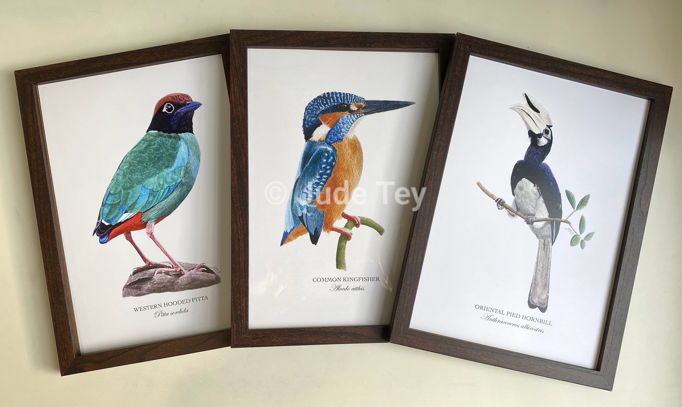 B5 Framed Prints