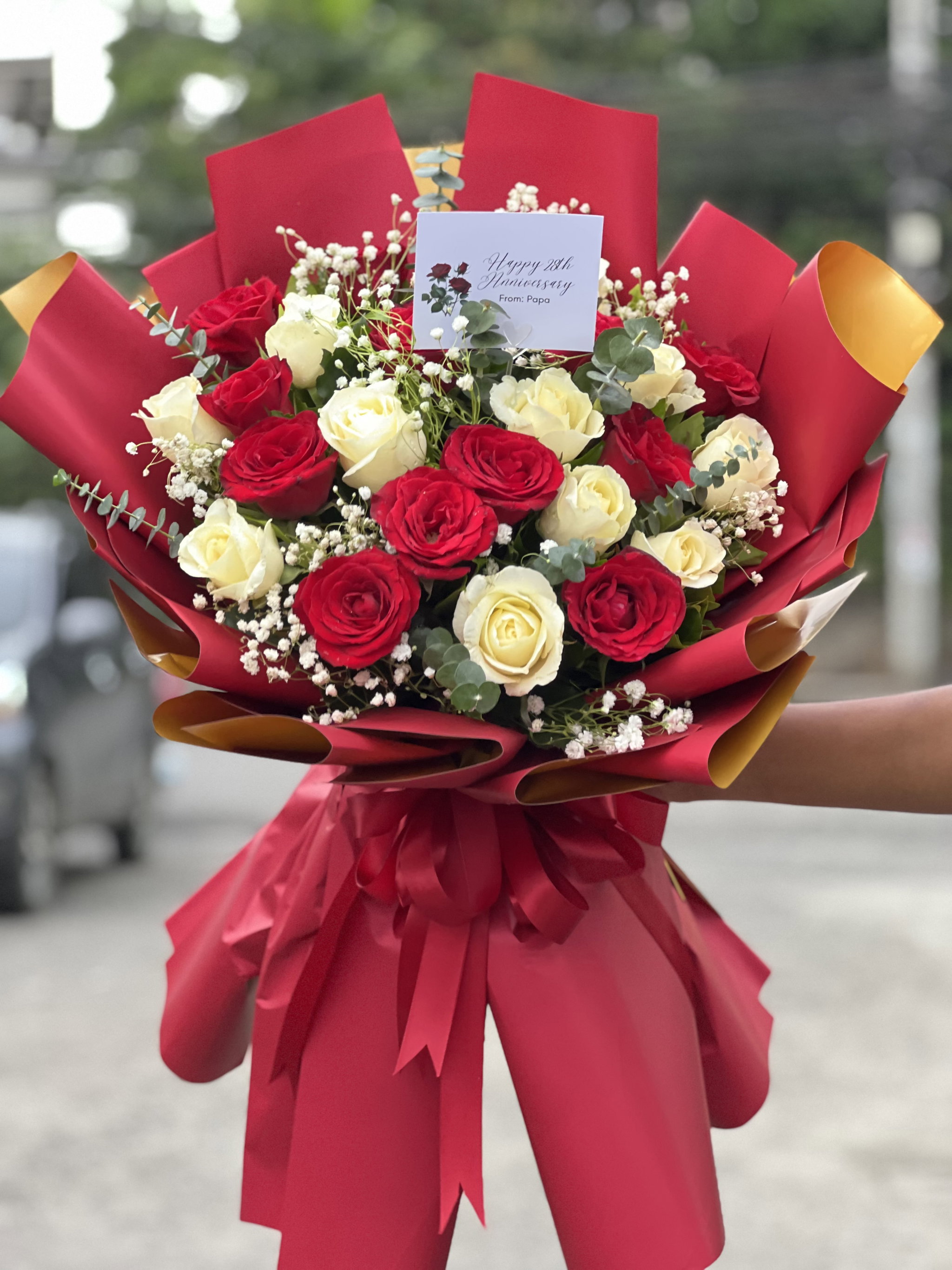Starlight Roses_0