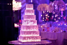 Wedding Cake Projection Mapping