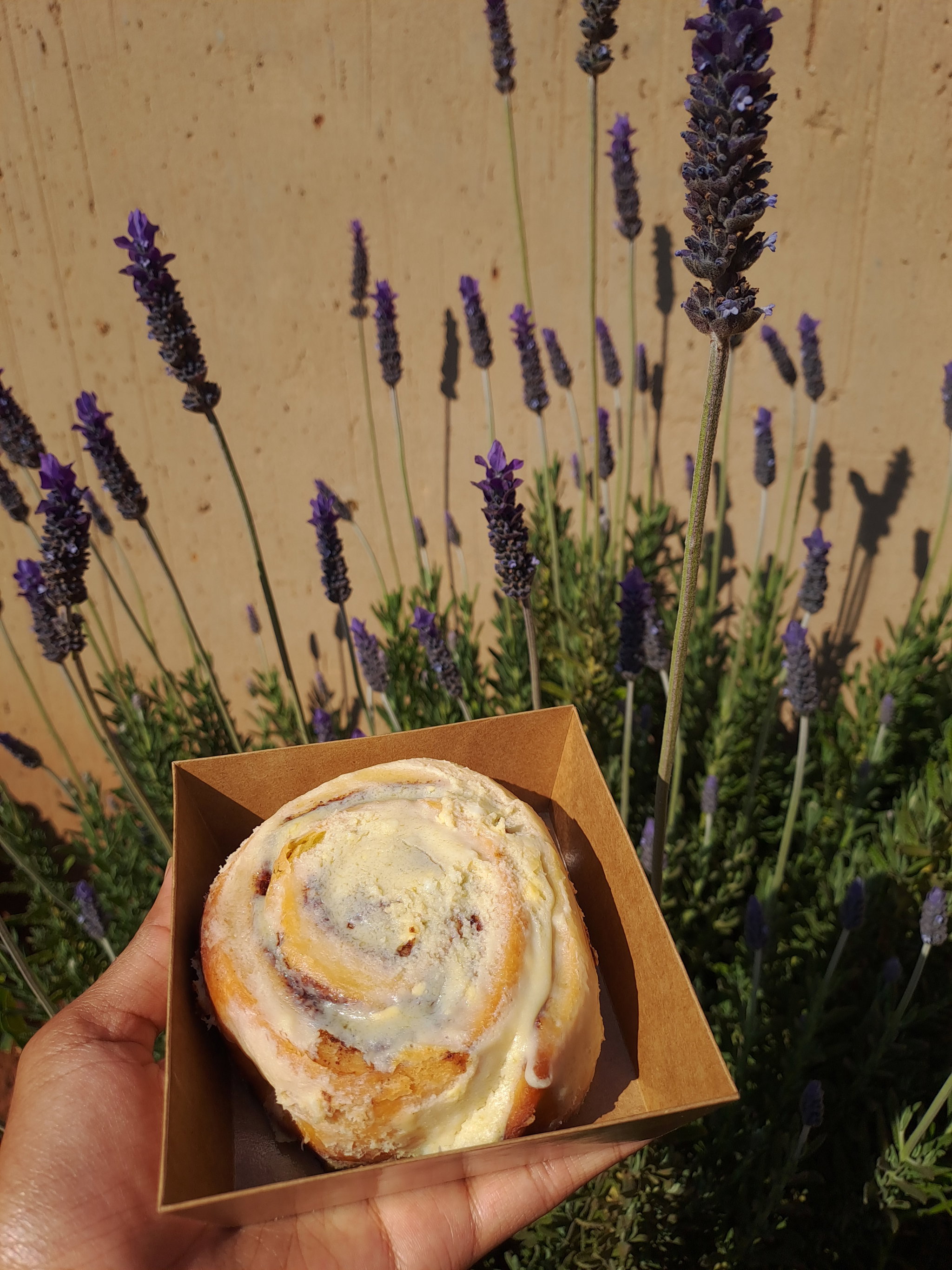 Like-A-Pillow Cinnamon Roll (Quantity - 1 each)_0