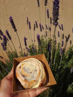 Like-A-Pillow Cinnamon Roll (Quantity - 1 each)