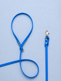 Biothane Leash