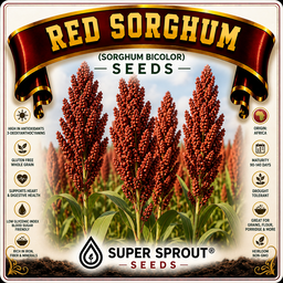 SORGHUM RED x 50 seeds