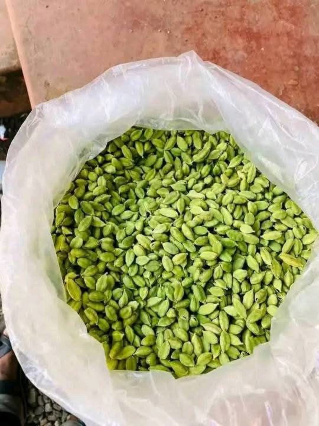 Green cardamom
