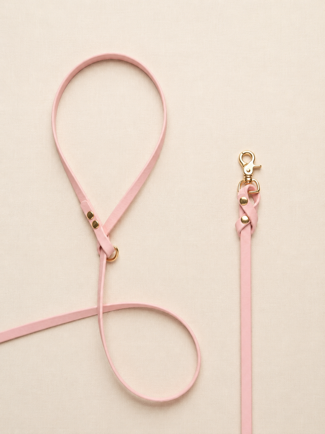Biothane Leash