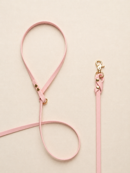 Biothane Leash