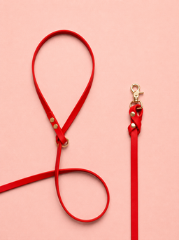 Biothane Leash
