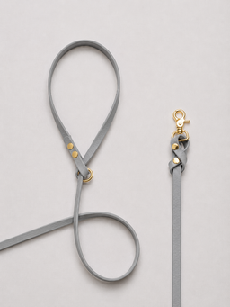 Biothane Leash