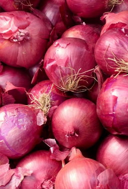 Onion