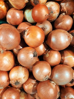 Onion
