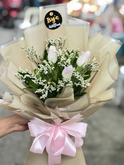Blush Tulips