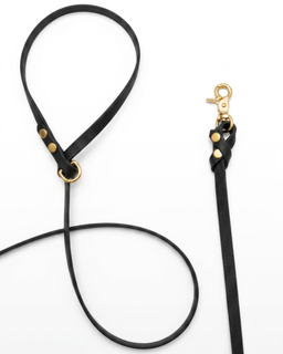 Biothane Leash