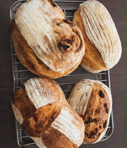 Sourdough Loaf