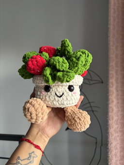 Potted strawberry plant 
