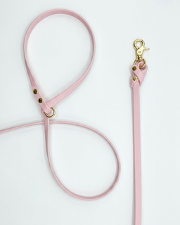 Biothane Leash