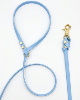 Biothane Leash