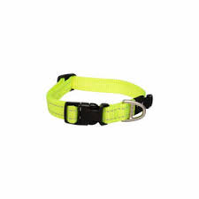 ROGZ- CLASSIC DOG COLLAR M - DAYGLO