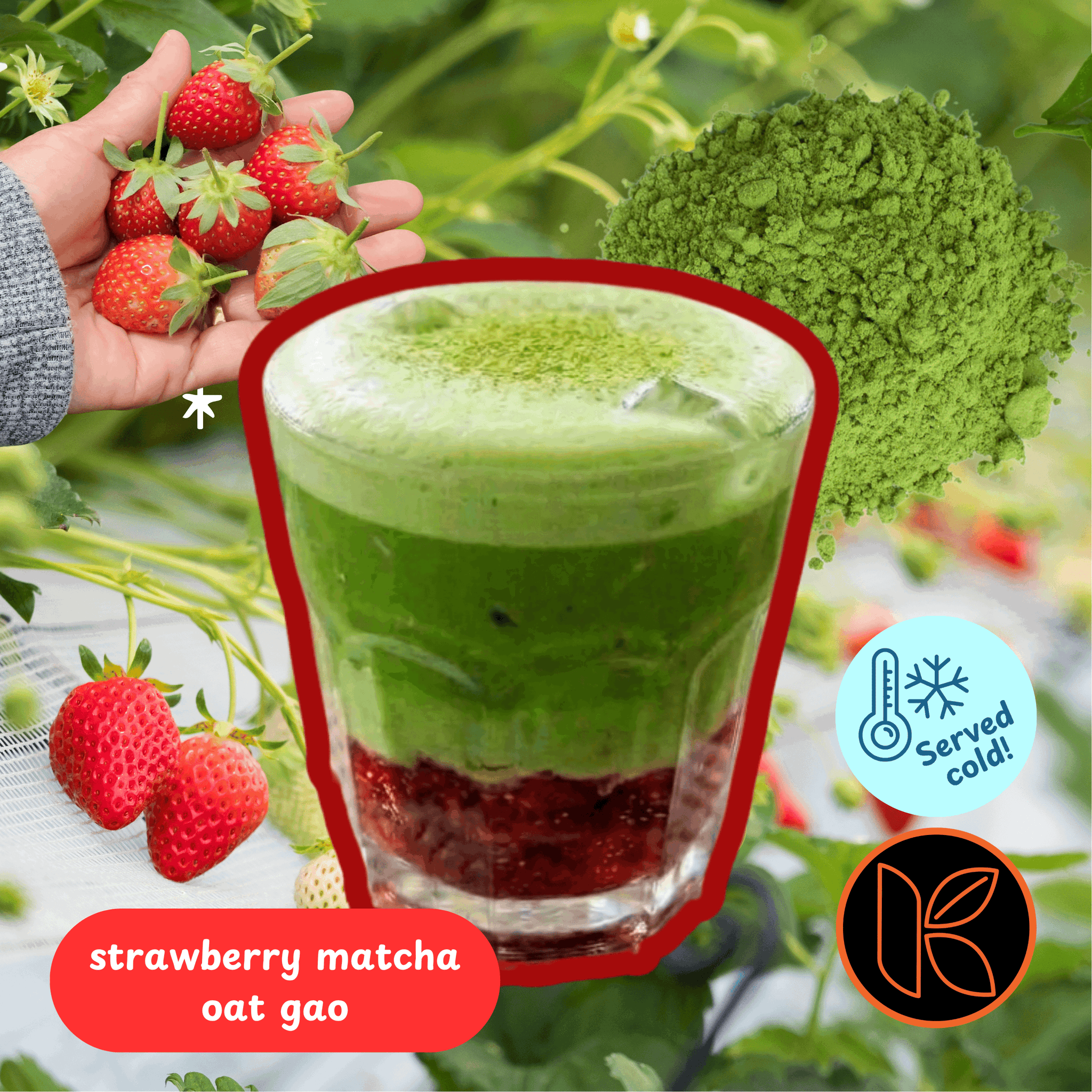 Strawberry Matcha Oat, Cold Whisked_0