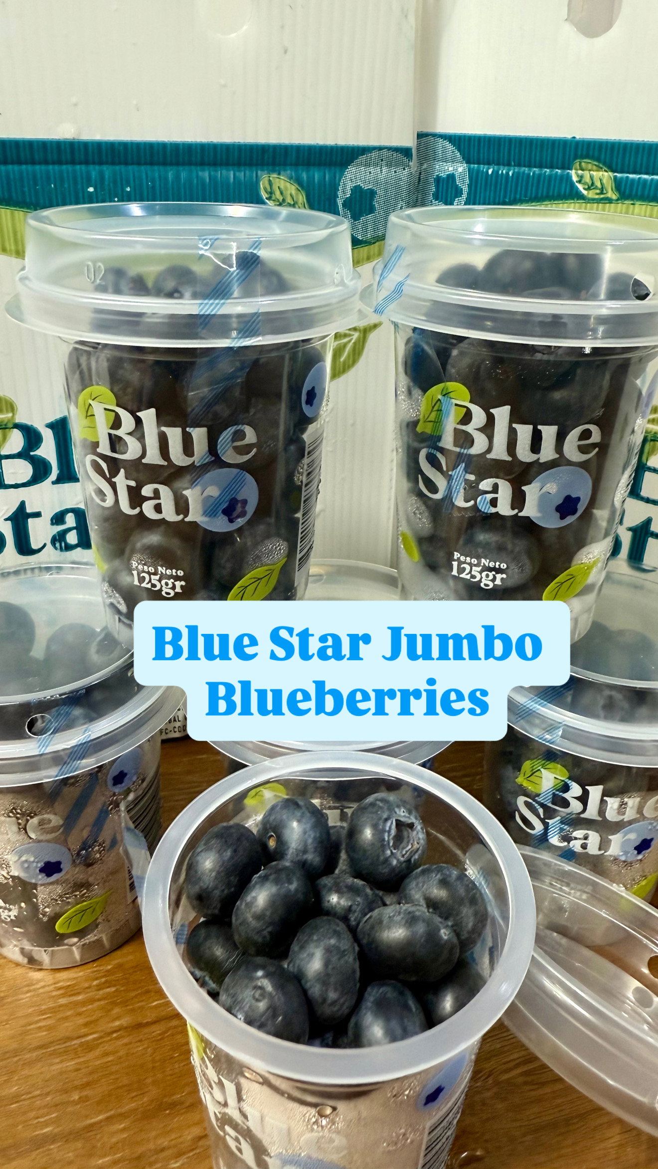 ECU BLUESTAR JUMBO BLUEBERRIES (2 pkt)_0