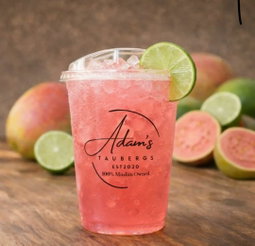 Sparkling Mocktail