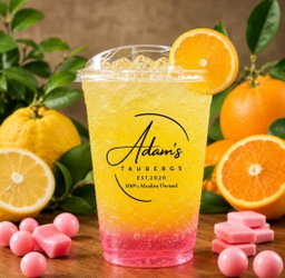 Sparkling Mocktail