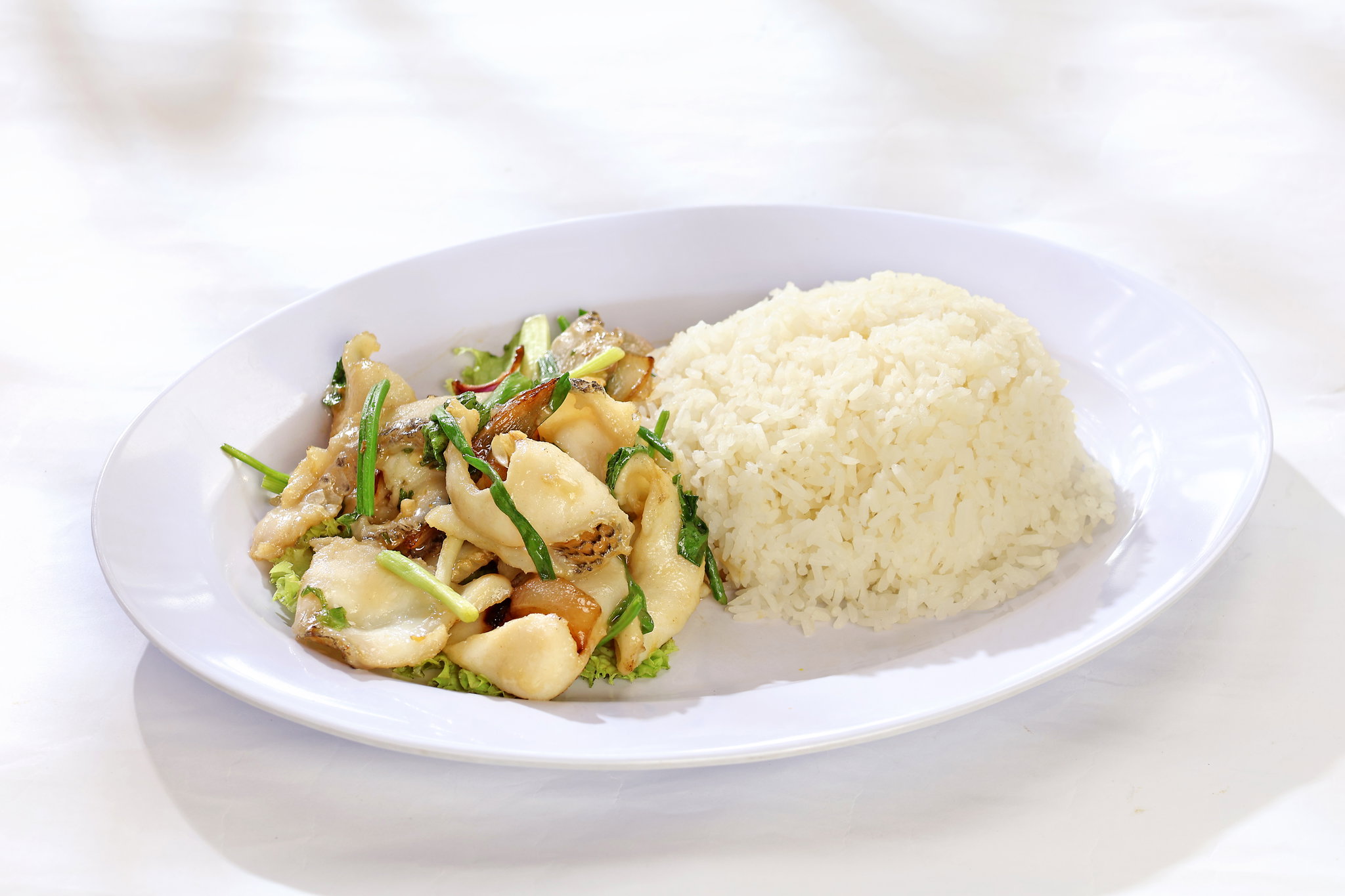 Ginger & Onion Sliced Fish with Rice 姜葱鱼片饭_0
