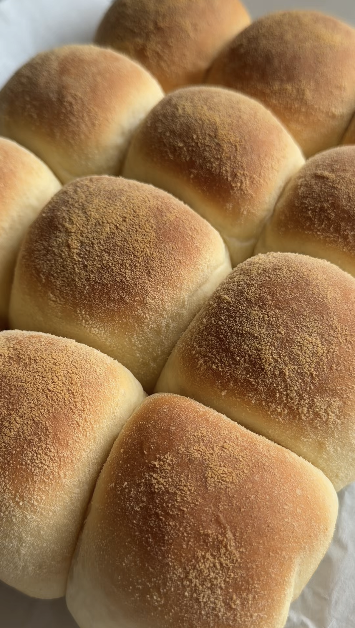 Classic Pandesal (Set of 5)_0