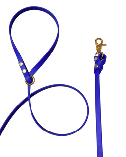 Biothane Leash
