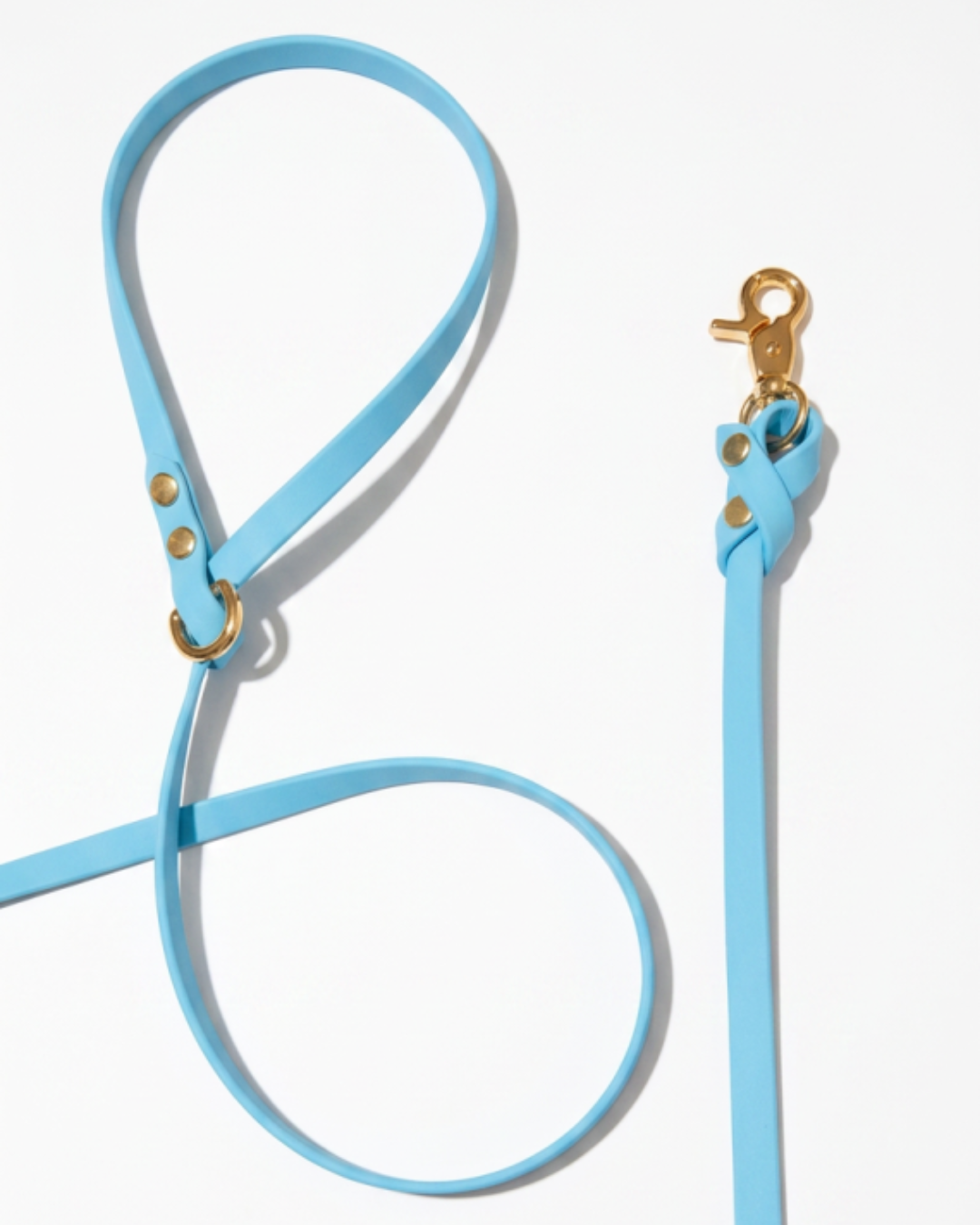 Biothane Leash_11