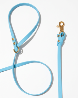 Biothane Leash