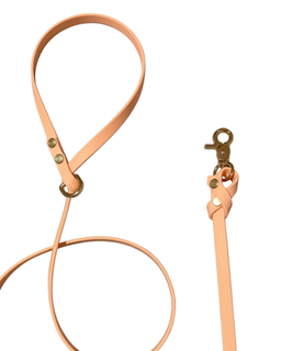 Biothane Leash