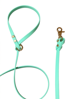 Biothane Leash