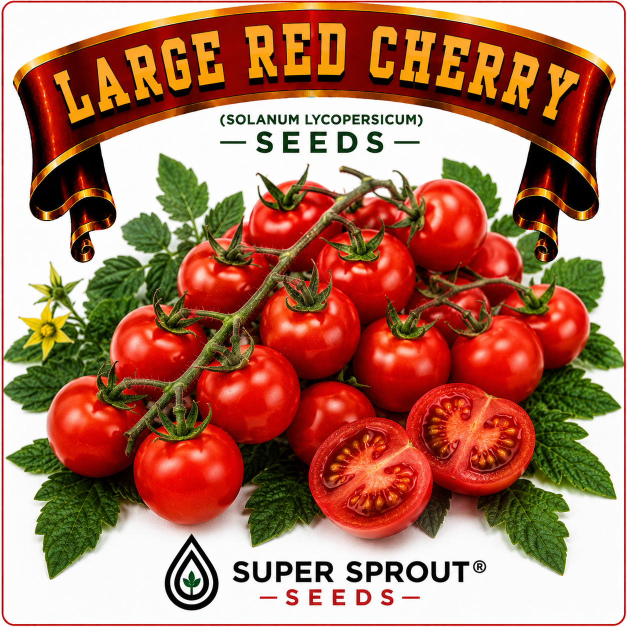 🍅LARGE RED CHERRY TOMATO🍅 x 15 seeds