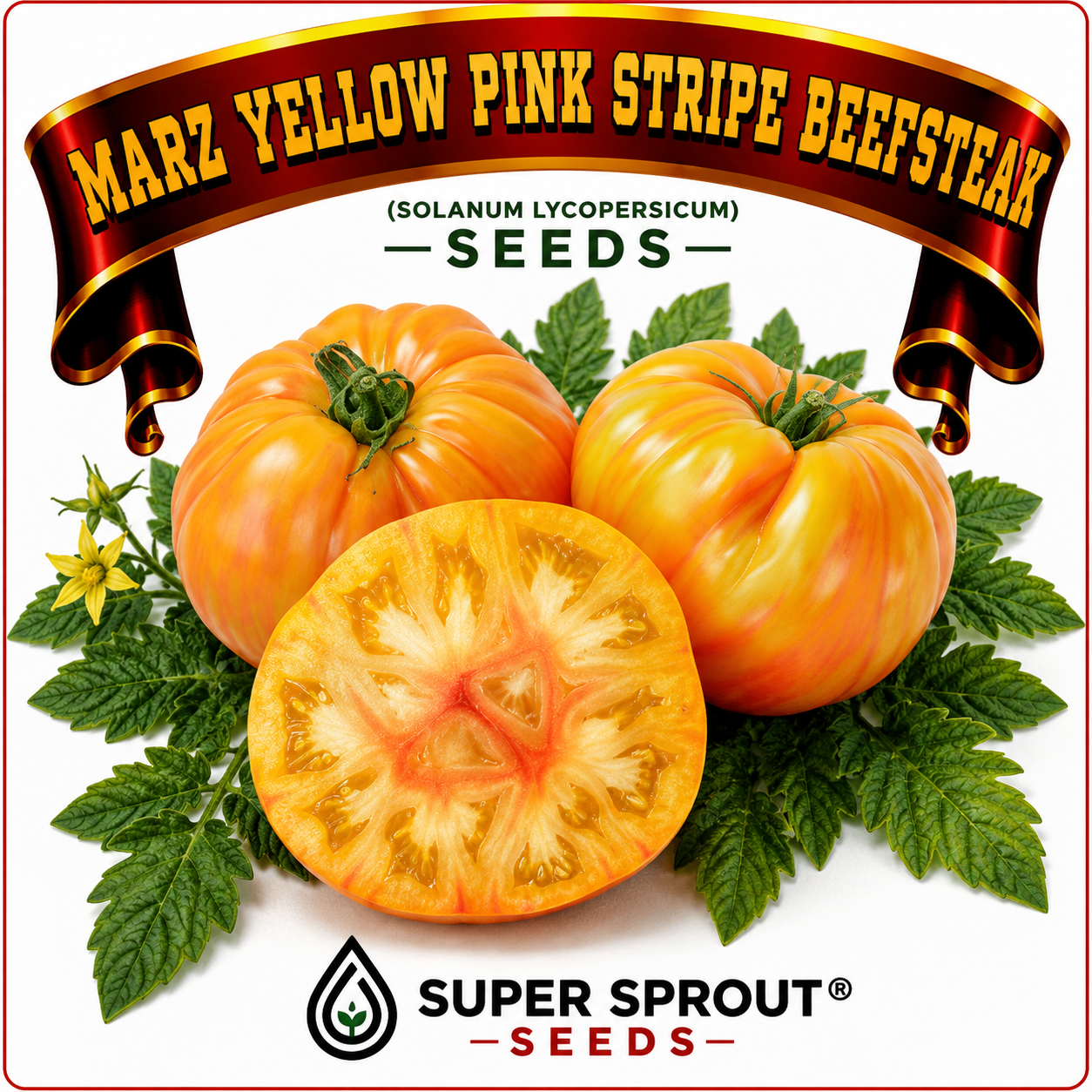 🍅MARZ YELLOW PINK STRIPE BEEFSTEAK🍅 x 15 organic seeds