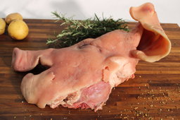 Tête de porc africain