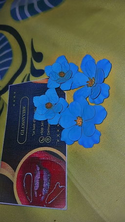 Boucles d'oreilles 
