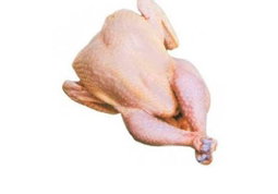 Pondeuse importé