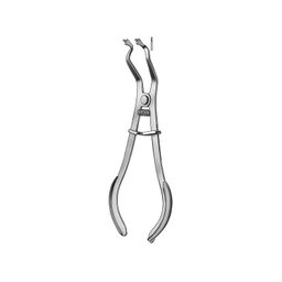 Pinza porta Clam