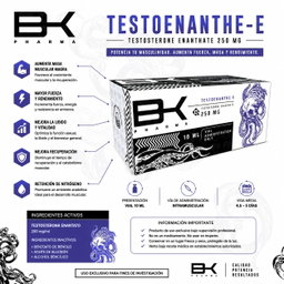 Testoenanthe-E Testosterone Enanthate 250 mg BK Pharma