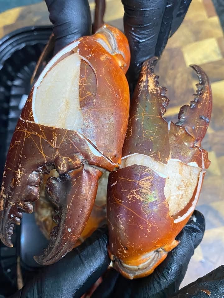 Meat Mud Crab (600gram)