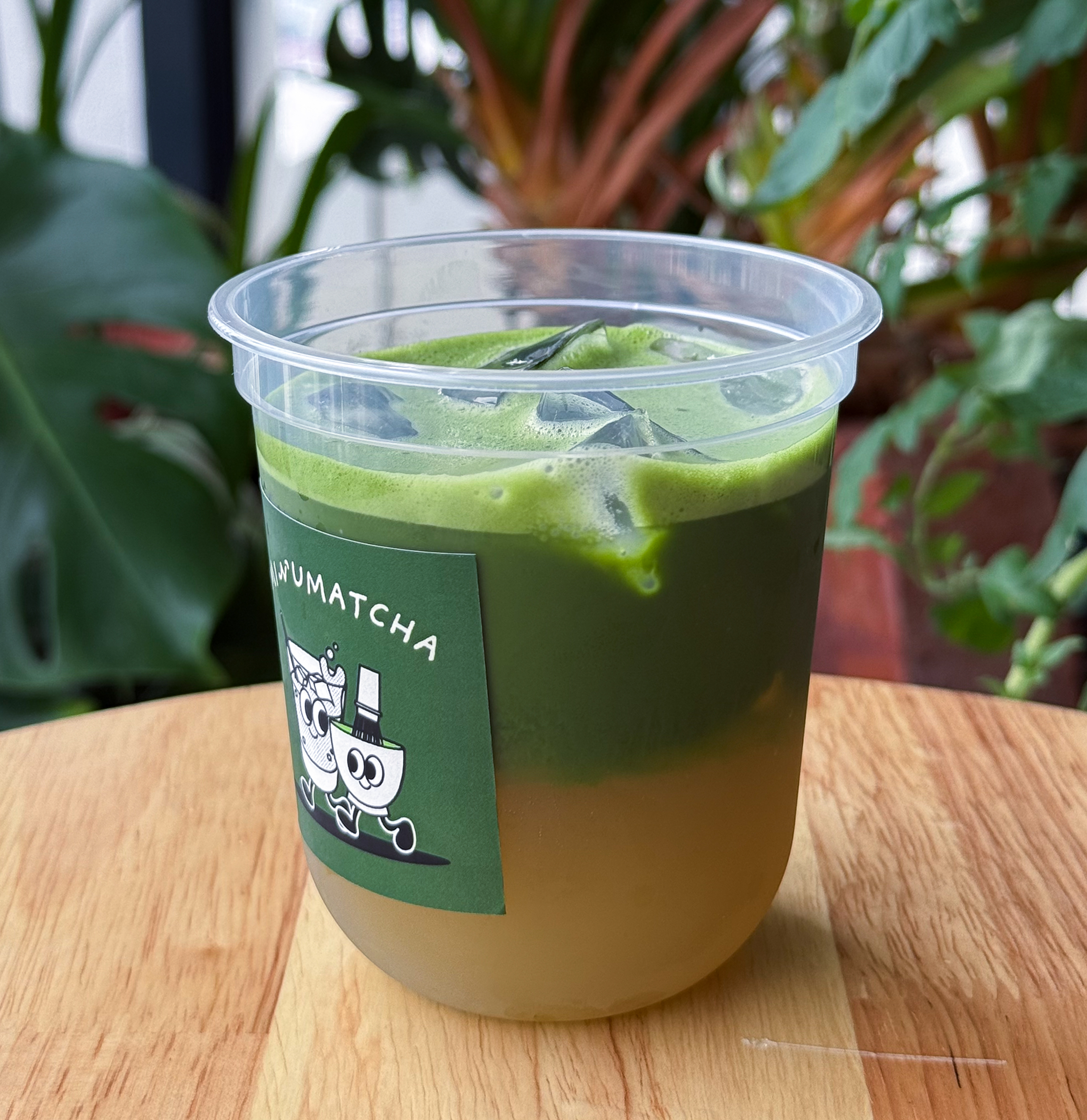 Sugarcane Matcha