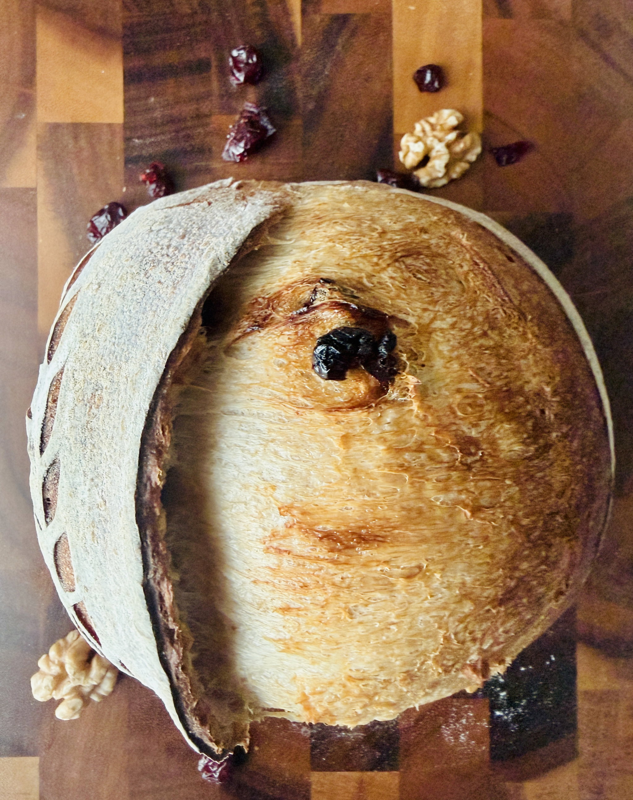 Cranberry Walnut Sourdough_0